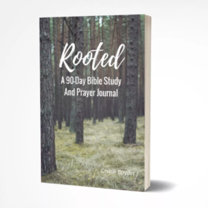 Rooted Product image | Youth Min Studies