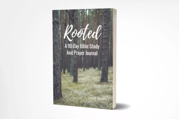 Rooted Product image | Youth Min Studies